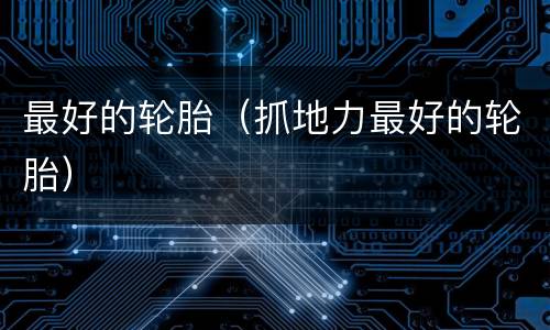 最好的轮胎（抓地力最好的轮胎）