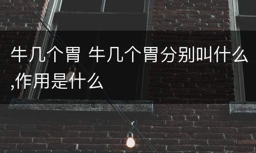 牛几个胃 牛几个胃分别叫什么,作用是什么