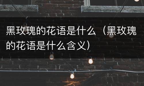 黑玫瑰的花语是什么（黑玫瑰的花语是什么含义）