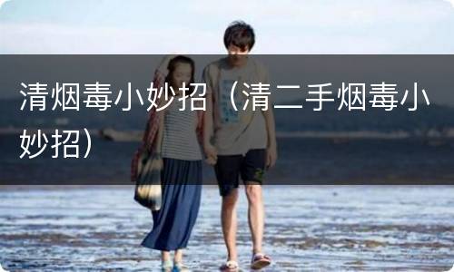 清烟毒小妙招（清二手烟毒小妙招）