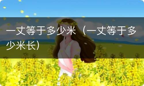 一丈等于多少米（一丈等于多少米长）