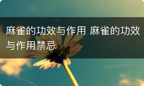 麻雀的功效与作用 麻雀的功效与作用禁忌