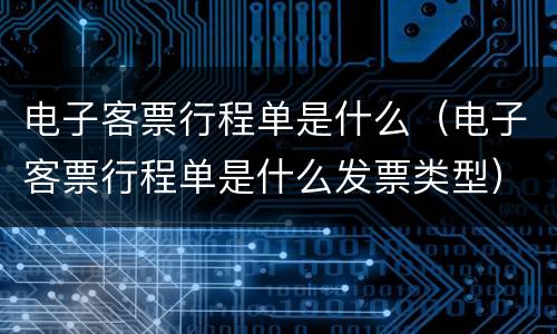 电子客票行程单是什么（电子客票行程单是什么发票类型）