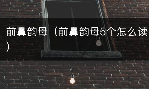 前鼻韵母（前鼻韵母5个怎么读）