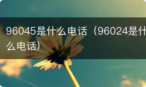 96045是什么电话（96024是什么电话）
