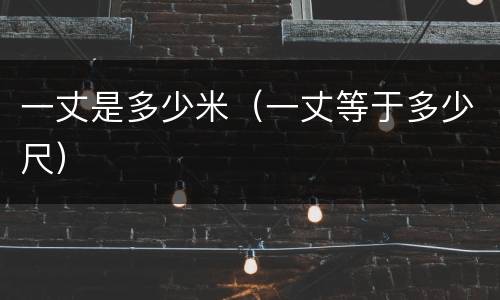 一丈是多少米（一丈等于多少尺）