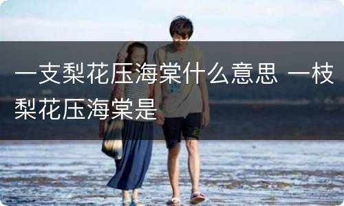 一支梨花压海棠什么意思 一枝梨花压海棠是