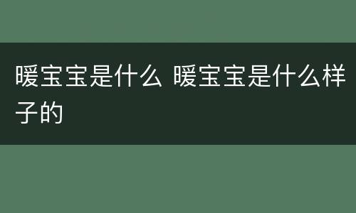 暖宝宝是什么 暖宝宝是什么样子的
