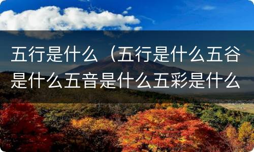 五行是什么（五行是什么五谷是什么五音是什么五彩是什么）