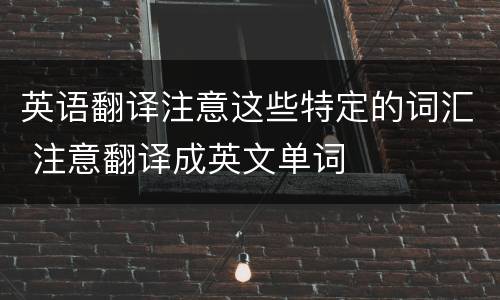 英语翻译注意这些特定的词汇 注意翻译成英文单词