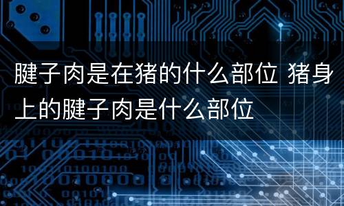腱子肉是在猪的什么部位 猪身上的腱子肉是什么部位