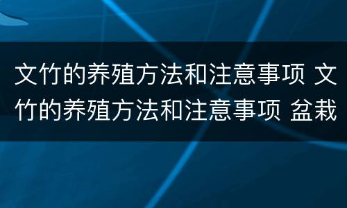 文竹的养殖方法和注意事项 文竹的养殖方法和注意事项 盆栽意义