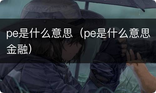 pe是什么意思（pe是什么意思金融）