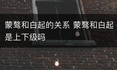 蒙骜和白起的关系 蒙骜和白起是上下级吗