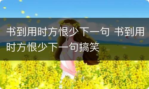 书到用时方恨少下一句 书到用时方恨少下一句搞笑