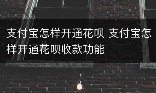 支付宝怎样开通花呗 支付宝怎样开通花呗收款功能