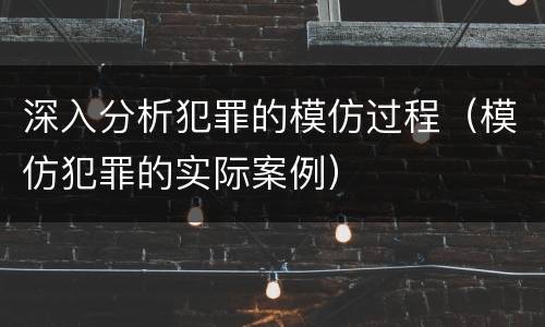 深入分析犯罪的模仿过程（模仿犯罪的实际案例）