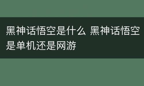 黑神话悟空是什么 黑神话悟空是单机还是网游