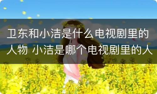 卫东和小洁是什么电视剧里的人物 小洁是哪个电视剧里的人物