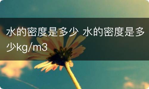 水的密度是多少 水的密度是多少kg/m3