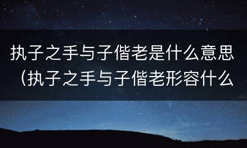 执子之手与子偕老是什么意思（执子之手与子偕老形容什么感情）