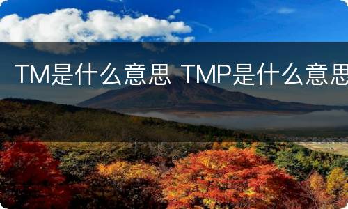 TM是什么意思 TMP是什么意思