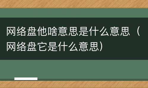 网络盘他啥意思是什么意思（网络盘它是什么意思）