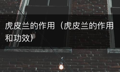 虎皮兰的作用（虎皮兰的作用和功效）