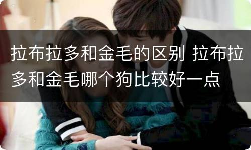 拉布拉多和金毛的区别 拉布拉多和金毛哪个狗比较好一点