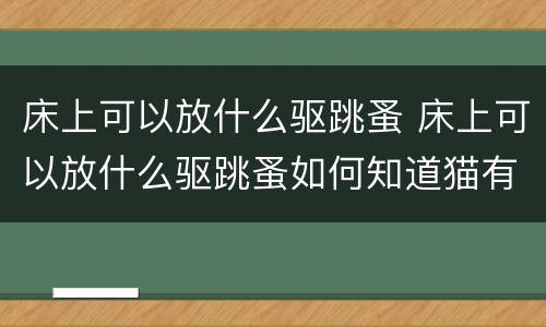 床上可以放什么驱跳蚤 床上可以放什么驱跳蚤如何知道猫有没有跳