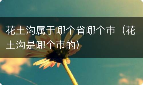 花土沟属于哪个省哪个市（花土沟是哪个市的）