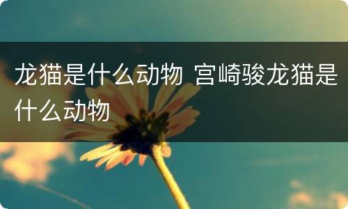 龙猫是什么动物 宫崎骏龙猫是什么动物