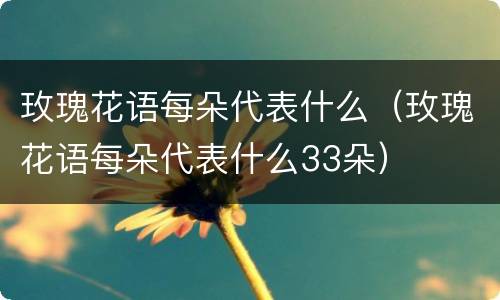 玫瑰花语每朵代表什么（玫瑰花语每朵代表什么33朵）