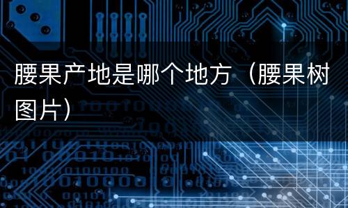 腰果产地是哪个地方（腰果树图片）