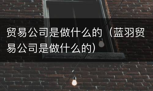 贸易公司是做什么的（蓝羽贸易公司是做什么的）