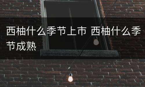 西柚什么季节上市 西柚什么季节成熟