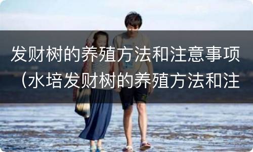 发财树的养殖方法和注意事项（水培发财树的养殖方法和注意事项）