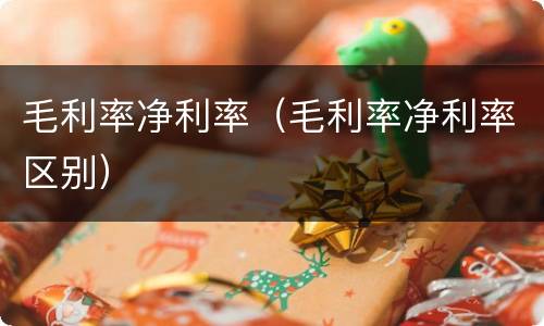 毛利率净利率（毛利率净利率区别）