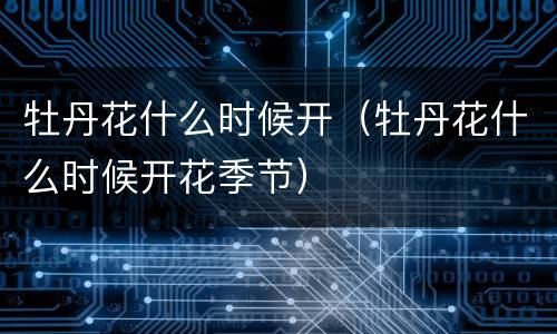 牡丹花什么时候开（牡丹花什么时候开花季节）