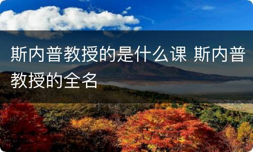 斯内普教授的是什么课 斯内普教授的全名