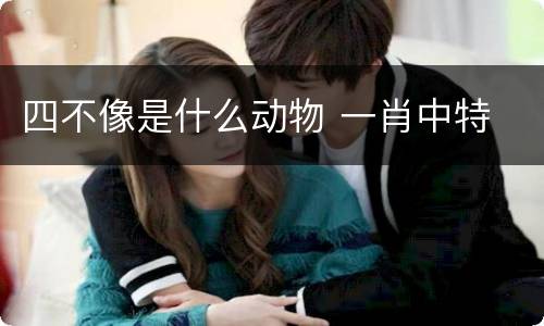 四不像是什么动物 一肖中特