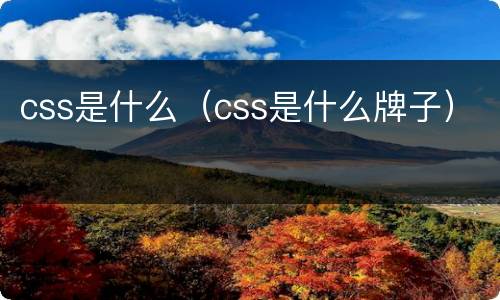 css是什么（css是什么牌子）