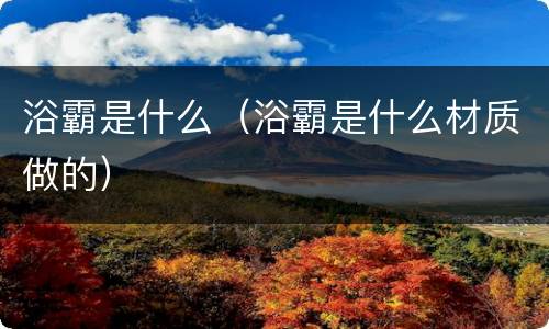 浴霸是什么（浴霸是什么材质做的）