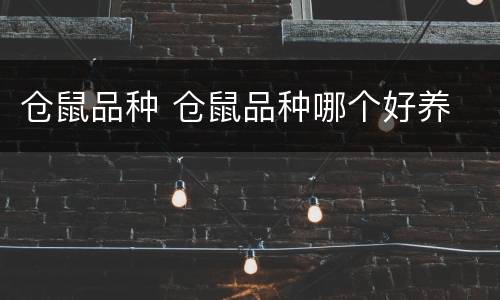 仓鼠品种 仓鼠品种哪个好养