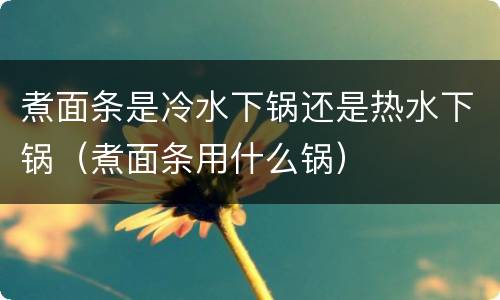 煮面条是冷水下锅还是热水下锅（煮面条用什么锅）