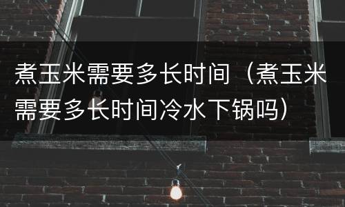 煮玉米需要多长时间（煮玉米需要多长时间冷水下锅吗）