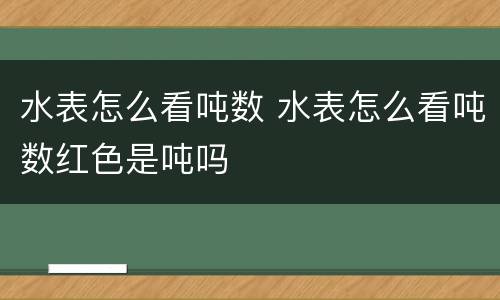 水表怎么看吨数 水表怎么看吨数红色是吨吗