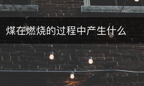 煤在燃烧的过程中产生什么