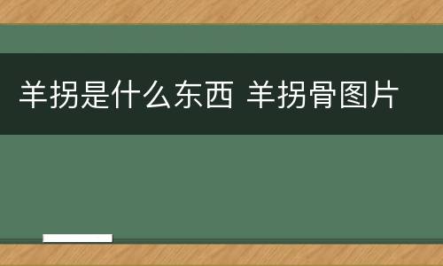 羊拐是什么东西 羊拐骨图片