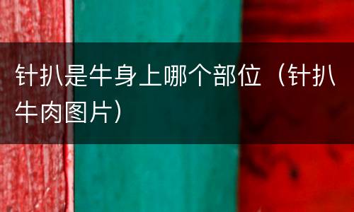 针扒是牛身上哪个部位（针扒牛肉图片）